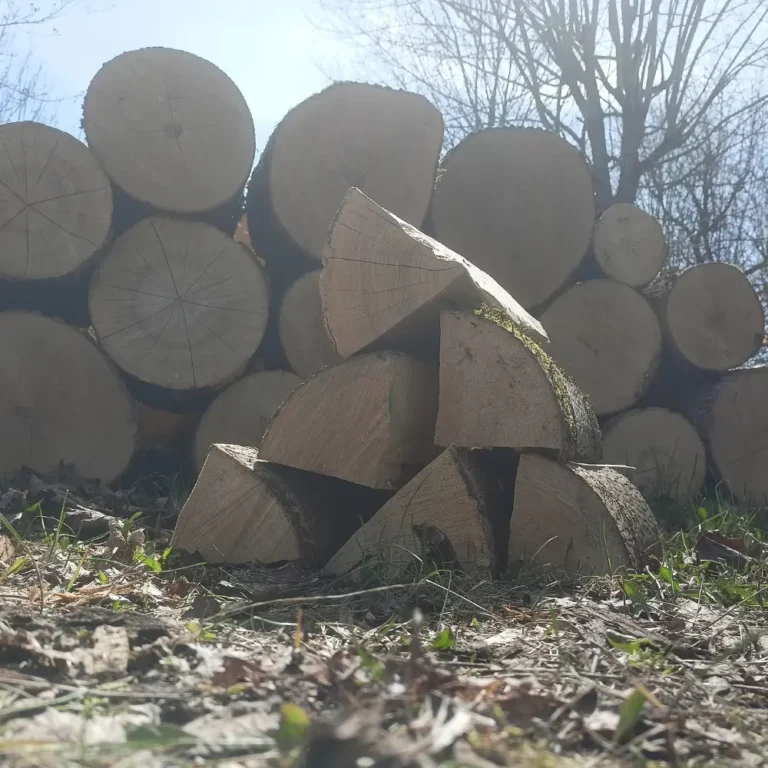Jesion drewno kominkowe aranżowane ujęcie w letnim słońcu